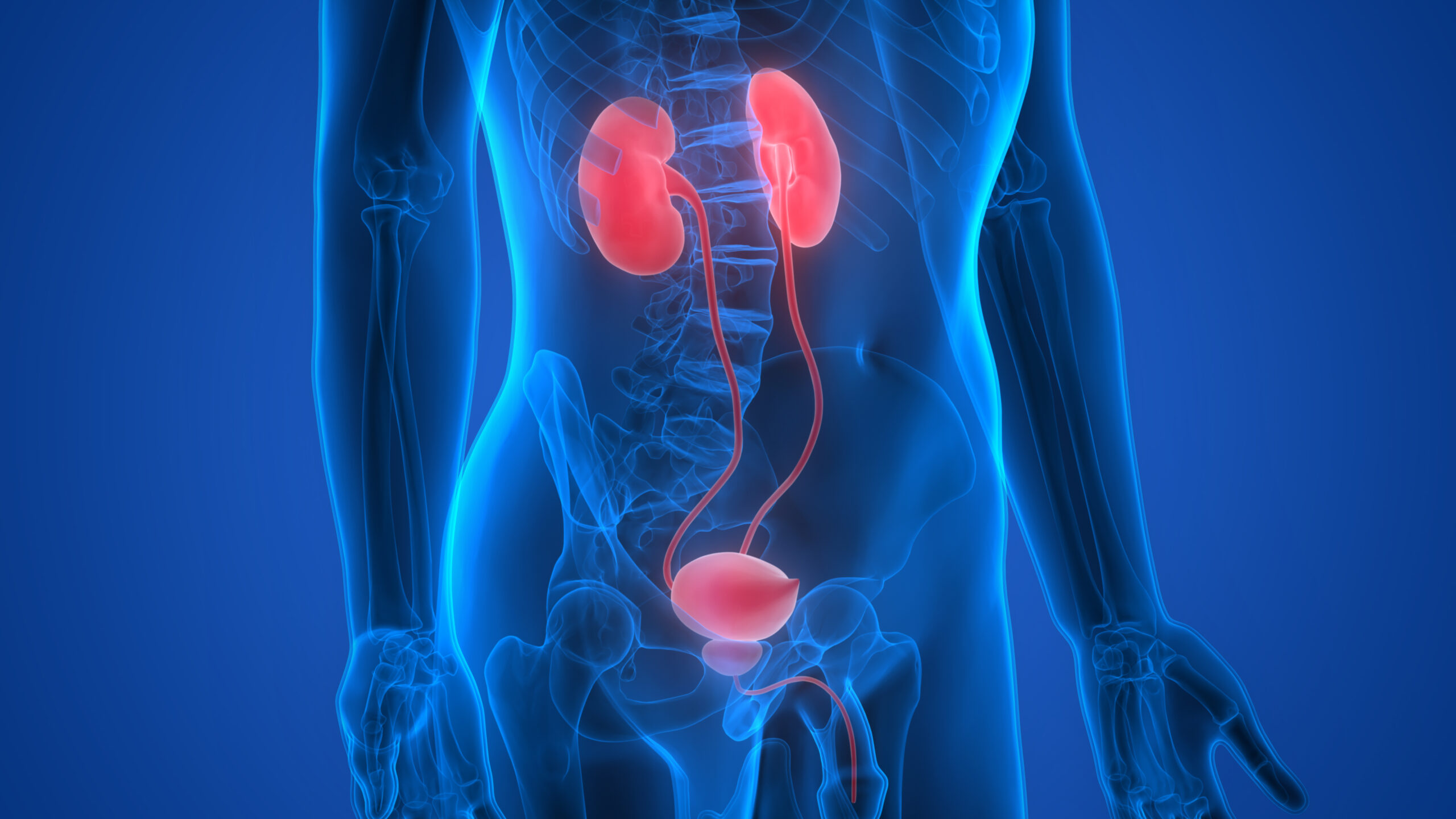 Changes in Urination Patterns and Appearance